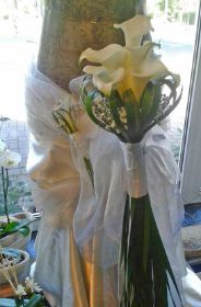 IMG_0119.jpg