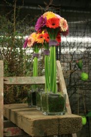 flowers-767039_640.jpg